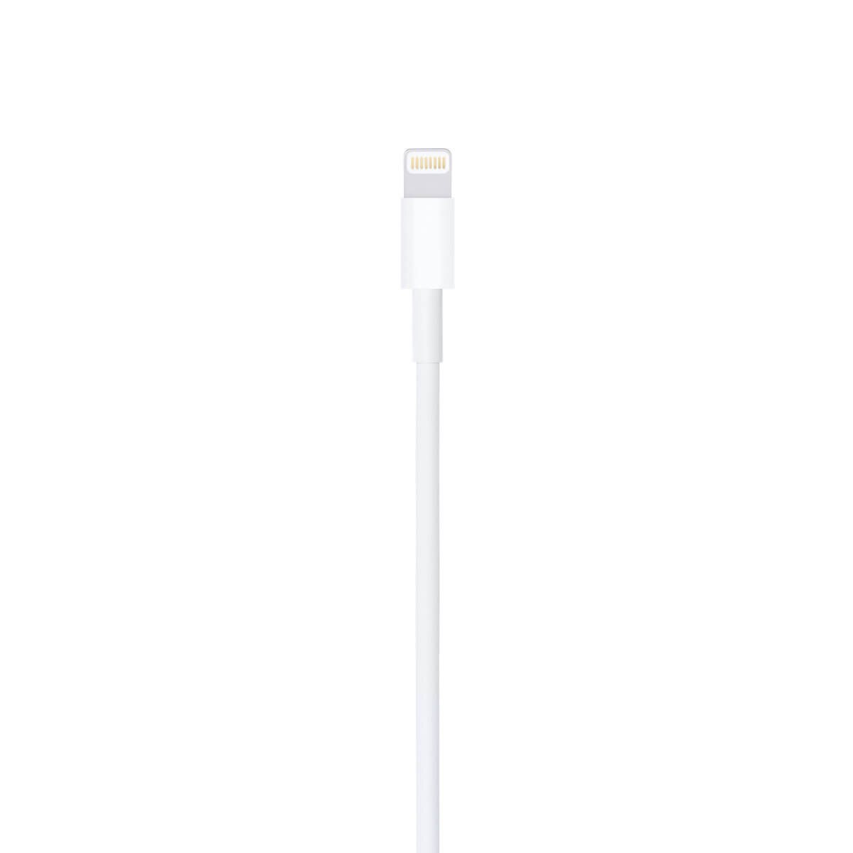 Apple Lightning to USB Cable 1M